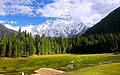 A sunny day at Fairy Meadows