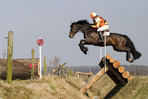 Un cavalier et sa monture franchissant un obstacle de volée au-dessus d'un fossé, lors d'un concours complet d'équitation (définition réelle 3 066 × 2 042)