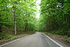 The "Tunnel of Trees" between Harbor Springs and Good Hart