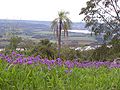 Cerro Monje