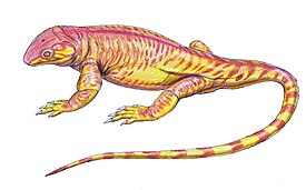 Реконструкция Datheosaurus macrourus