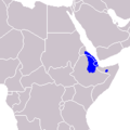 Âne sauvage d'Afrique