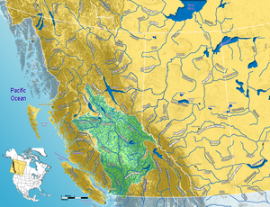 Mapa da bacia do Fraser (verde) no Canadá (amarelo)