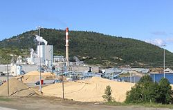 Marathon Pulp Mill, operated 1946-2009