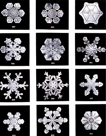 snowflakes