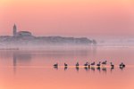 Miniatura per Llac de Lesina