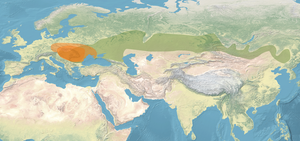 Continental Asia in 400 CE (Huns) is located in Huns