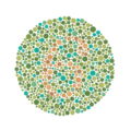 Ishihara Plate No. 13 (6)