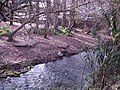 Majaceite river at El Bosque