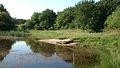 An abandoned marl pit has turned into a small pond (July)