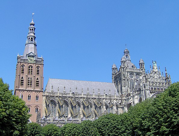 Katedralo de Sankta Johano en ’s-Hertogenbosch