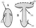 Thumbnail for version as of 07:20, 19 October 2022