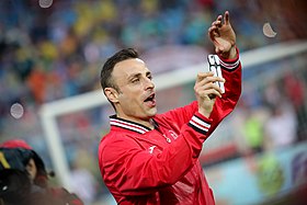 Image illustrative de l’article Dimitar Berbatov