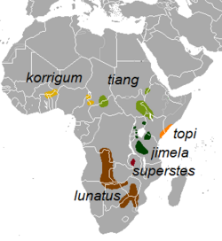 Distribución das subespecies de Damaliscus lunatus