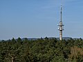 Blick auf den Kronacher Fernsehturm