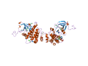 2gqg: X-ray Crystal Structure of Dasatinib (BMS-354825) Bound to Activated ABL Kinase Domain