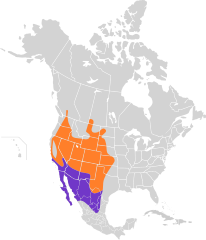 Mapa występowania