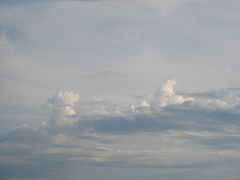 Stratocumulus castellanus