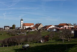 Bourrignon