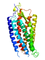 Neurotenzin-NTS1–receptor