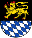 Simmern/Hunsrück címere