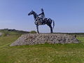 Gaelic Chieftain near Boyle