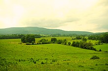 Grassy-Cove-Brady-Mountain-tn1.jpg