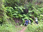 Nationalpark Sierra Maestra