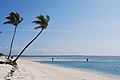 Playa en Coco Cay en los Bahamas