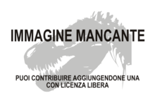 Immagine di Yimenosaurus mancante