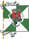 Flagge des Concelhos Amarante