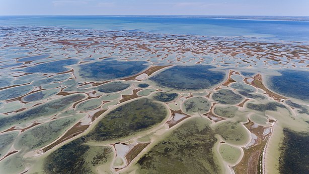 Aerial shot of Dzharylhach National Nature Park, Ukraine Photo by Yunyk