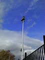 Floodlight Column 'C'