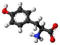 Ball-and-stick model of the L-isomer as a zwitterion