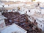 Tannerie à Fès (Maroc)