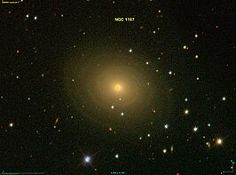 NGC 1167