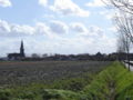 Blick auf Klemskerke von der Straße nach De Haan