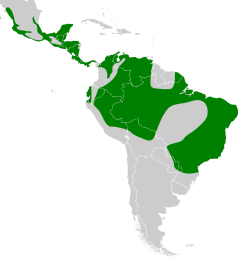 Distribución geográfica del bienteveo sociable.