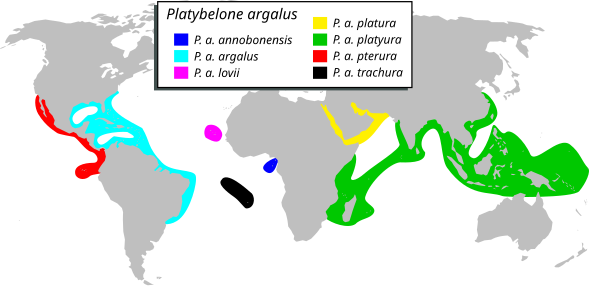 P. argalus range map, with each major sub-species highlighted.