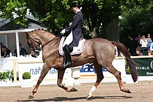 cavalière et cheval de dressage au trot, les juges et le public au fond.