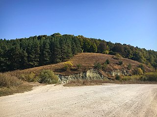 Голозубинецький парк, село Голозубинці