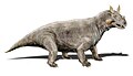 Estemmenosuchus (Therapsida)