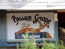 Possum Grape.png