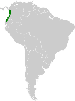 Distribución geográfica del picoplano del Pacífico.