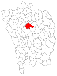 Location in Vaslui County