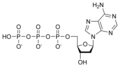 دئوکسی آدنوزین تری فسفات