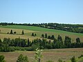 Paysage du centre de l'Île.