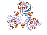 2j5z: H-FICOLIN COMPLEXED TO GALACTOSE