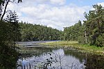 Stora Kroksjön (Skepplanda socken, Västergötland)