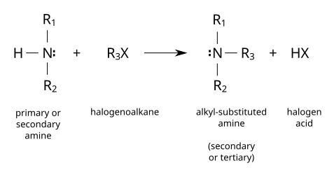 Amine alkylation